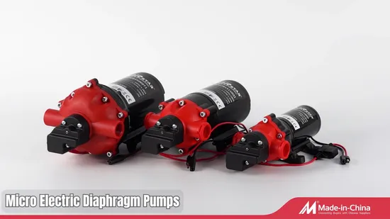 NBJRstar 12V 3.0G Diaphragm Water Pump with NPT Head